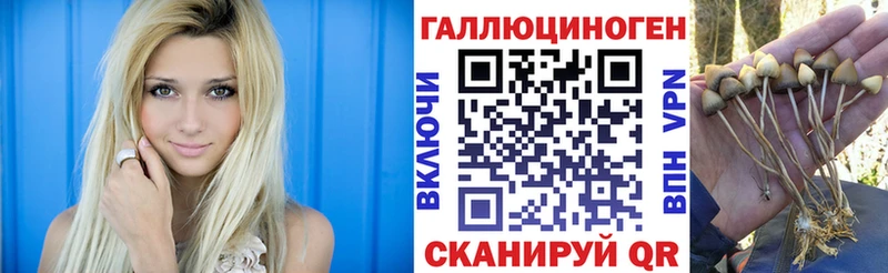 Псилоцибиновые грибы Psilocybe  сколько стоит  Лысково 
